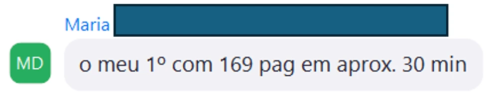 Mensagem de Maria: o meu 1º com 169 pag em aprox. 30 min